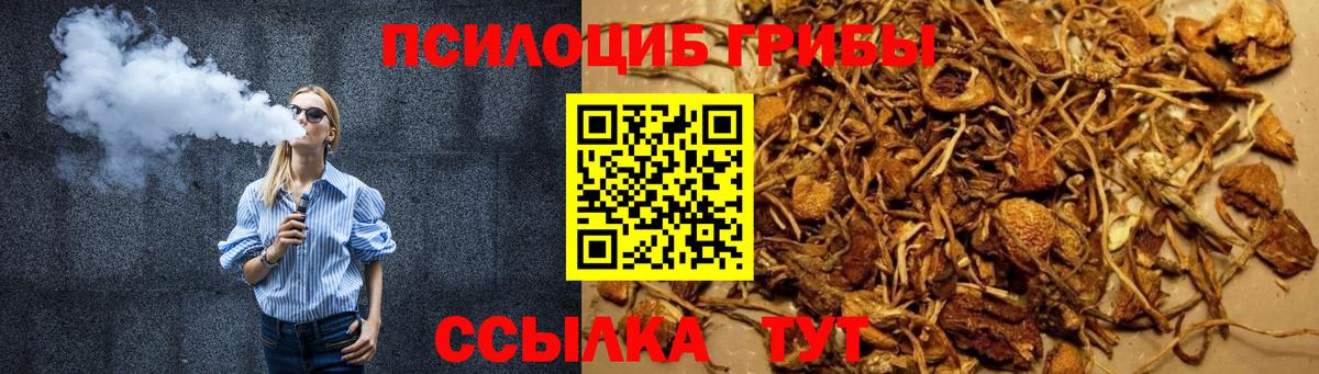 Владикавказ  Галлюциногенные грибы Cubensis  Вход с VPN  Галлюциногенные грибы MAGIC MUSHROOMS 