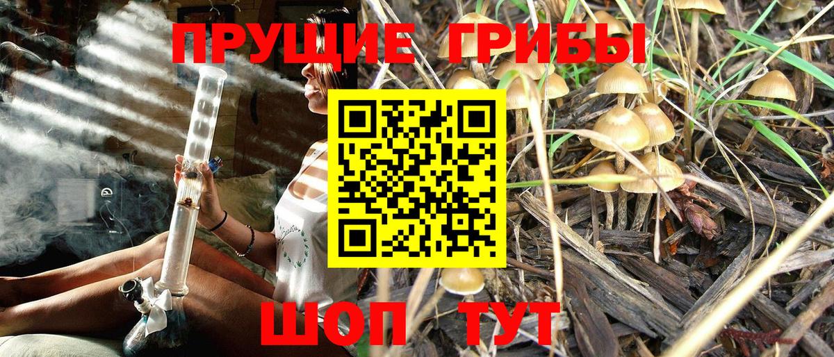 Псилоцибиновые грибы MAGIC MUSHROOMS Владикавказ
